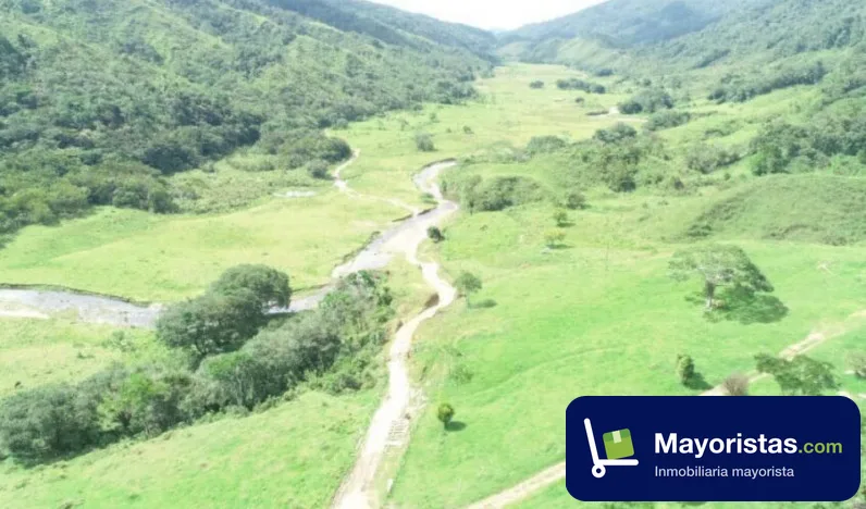 Finca ganadera de 1.720 ha en Amalfi, Antioquia