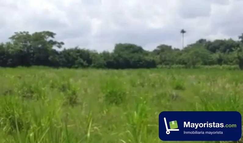 Finca ganadera de 765 ha en Valledupar, Cesar