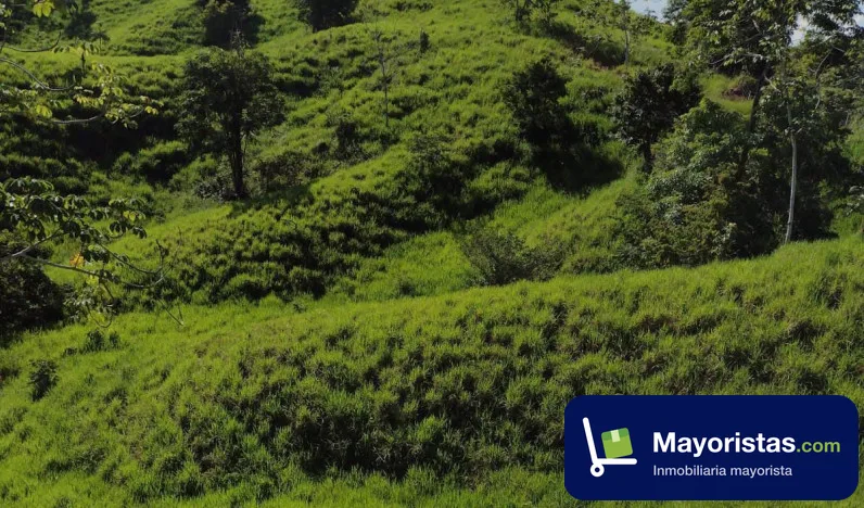 Finca ganadera de 300 ha en Yondó, Antioquia