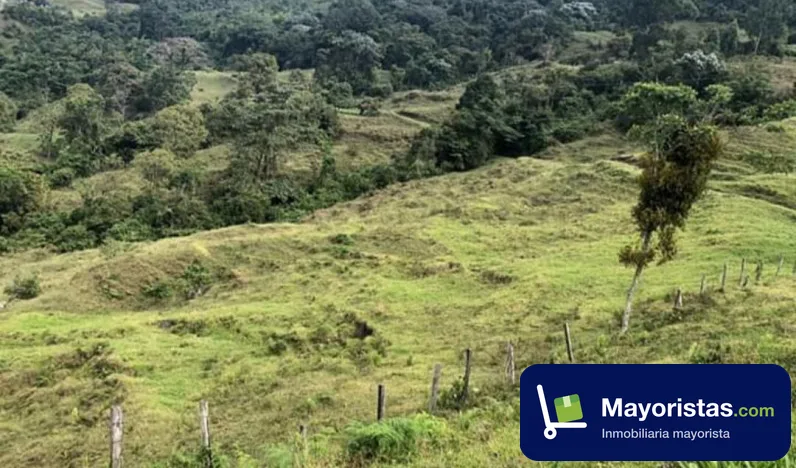 Finca ganadera de 80 ha en Génova, Quindío