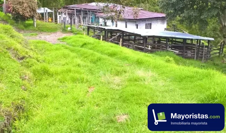 Finca ganadera de 80 ha en Génova, Quindío — foto 10 de 10