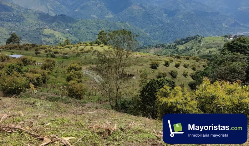 Finca agrícola de 29 ha en Génova, Quindío — foto 10 de 10
