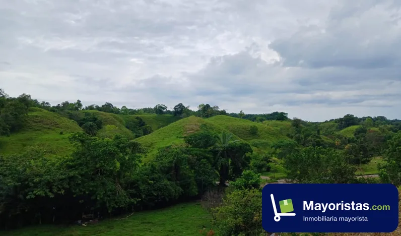 Finca ganadera de 81 ha en Puerto Boyacá, Boyacá