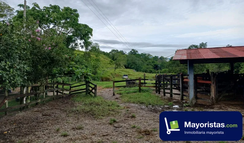 Finca ganadera de 81 ha en Puerto Boyacá, Boyacá — foto 10 de 10