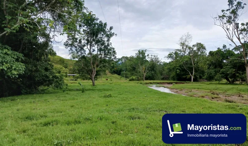 Finca ganadera de 81 ha en Puerto Boyacá, Boyacá — foto 9 de 10