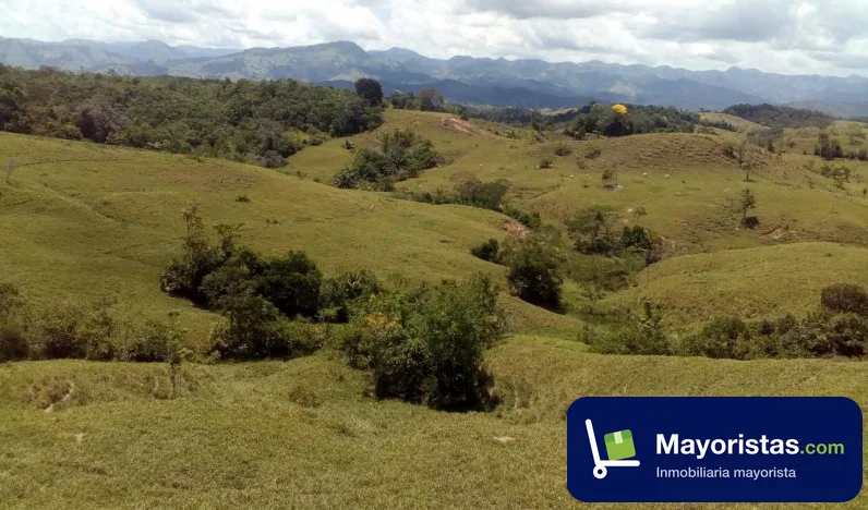 Finca ganadera de 130 ha en Puerto Boyacá, Boyacá