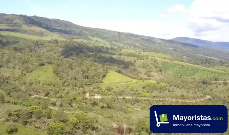Finca ganadera de 17 ha en Páramo, Santander