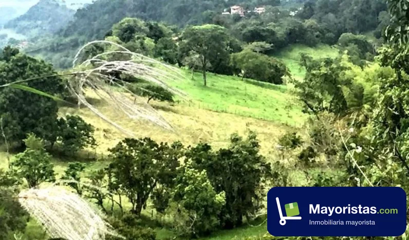 Finca ganadera de 9,3 ha en Fredonia, Antioquia