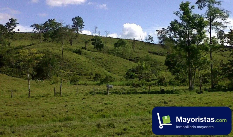 Finca ganadera de 330 ha en Puerto Boyacá, Boyacá