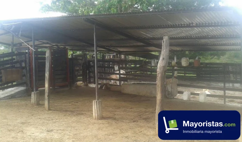 Finca ganadera de 330 ha en Puerto Boyacá, Boyacá — foto 10 de 10