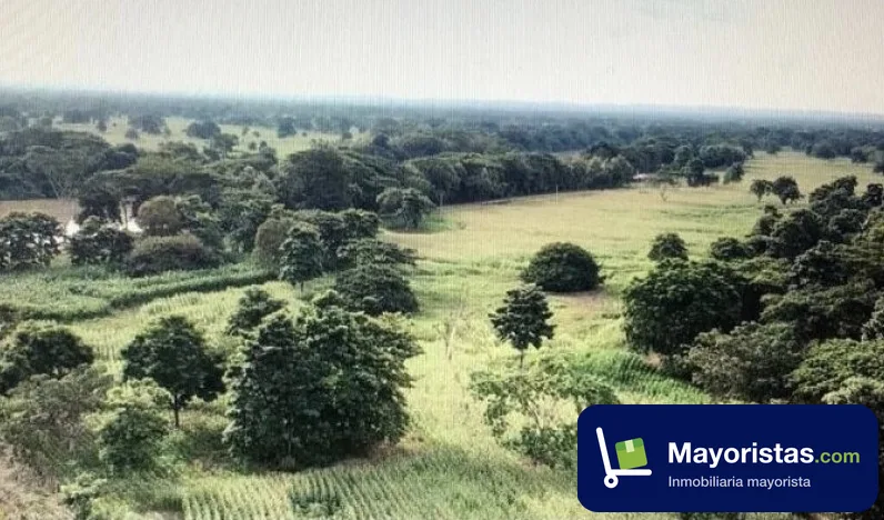 Finca ganadera de 40 ha en Montería, Córdoba