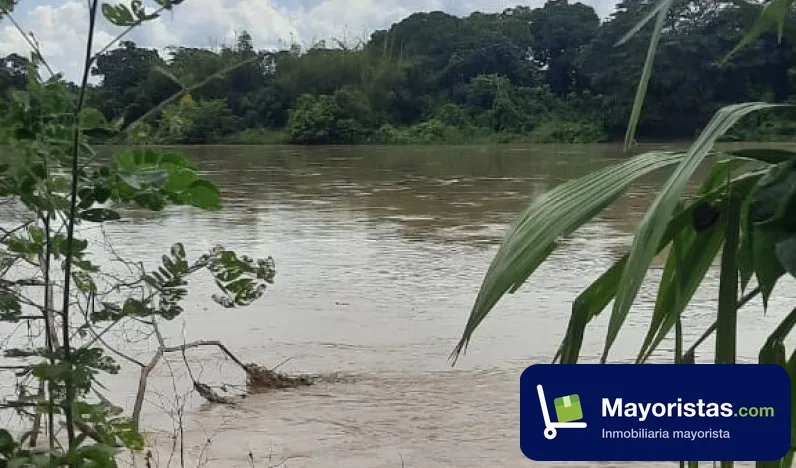 Finca ganadera de 40 ha en Montería, Córdoba — foto 9 de 10