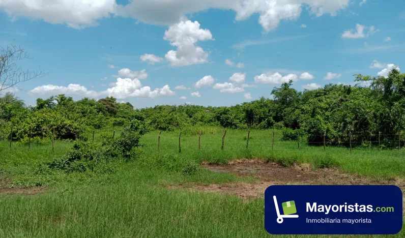 Finca ganadera de 63 ha en Sitionuevo, Magdalena