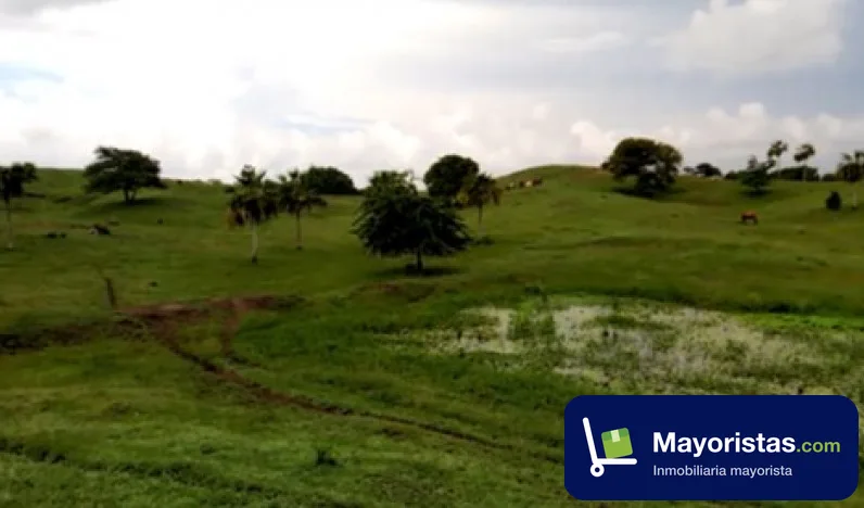 Finca ganadera de 30,2 ha en Cartagena de Indias, Bolívar