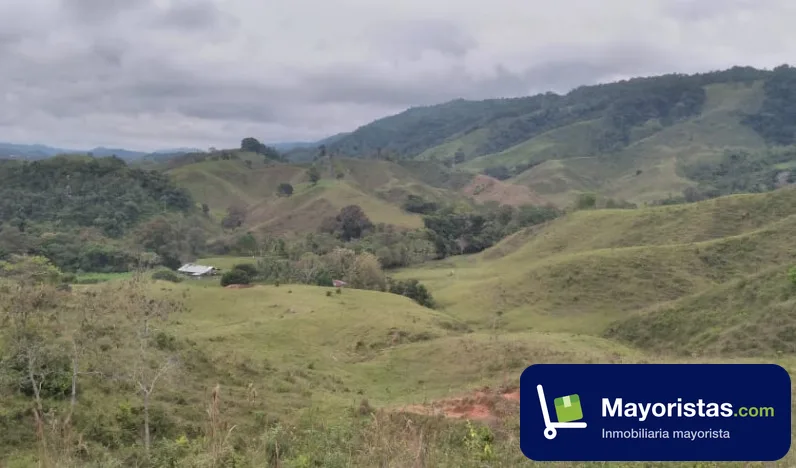 Finca ganadera de 230 ha en Puerto Triunfo, Antioquia