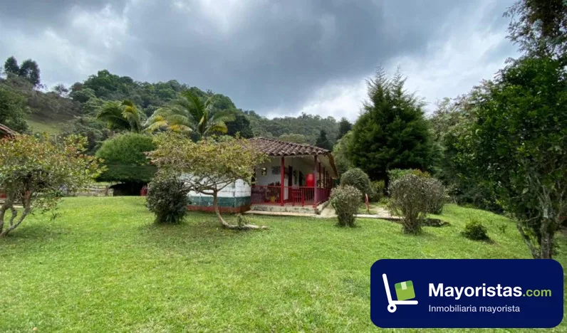 Finca ganadera de 141 ha en Jericó, Antioquia — foto 10 de 10