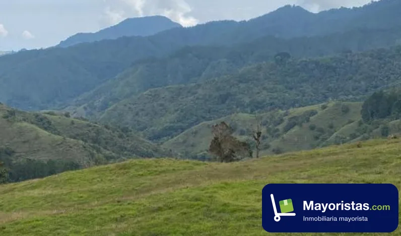 Finca ganadera de 141 ha en Jericó, Antioquia — foto 9 de 10