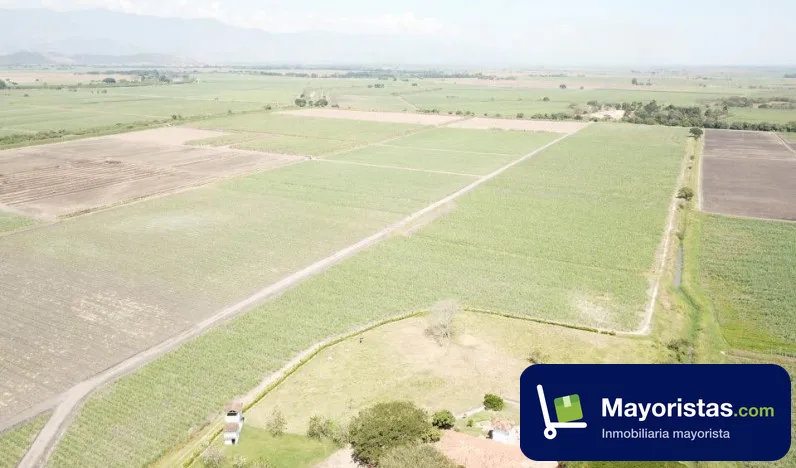 Finca agrícola de 73,6 ha en Obando, Valle del Cauca