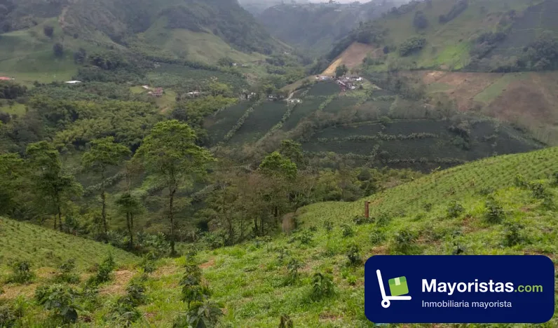 Finca cafetera de 96 ha en Santa Rosa de Cabal, Risaralda