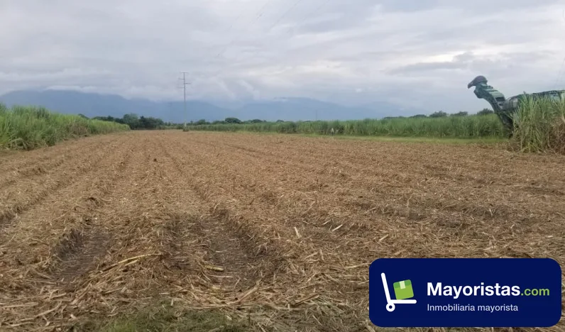 Finca agrícola de 80 ha en El Cerrito, Valle del Cauca