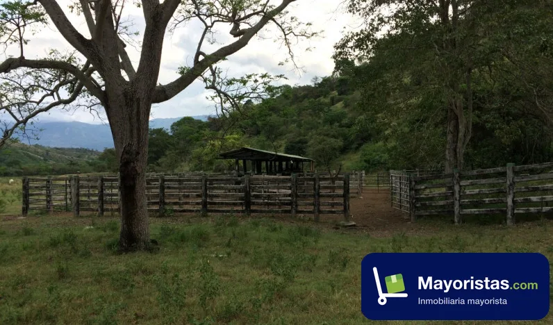 Finca ganadera de 700 ha en Armero, Tolima — foto 10 de 10