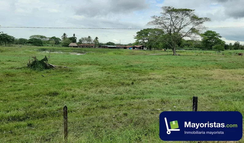 Finca ganadera de 21 ha en Sabana de Torres, Santander