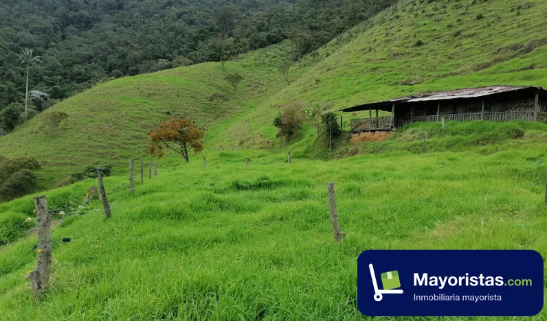 Finca agrícola de 850 ha en El Cerrito, Valle del Cauca — foto 10 de 10