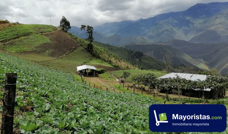 Finca agrícola de 850 ha en El Cerrito, Valle del Cauca — foto 9 de 10