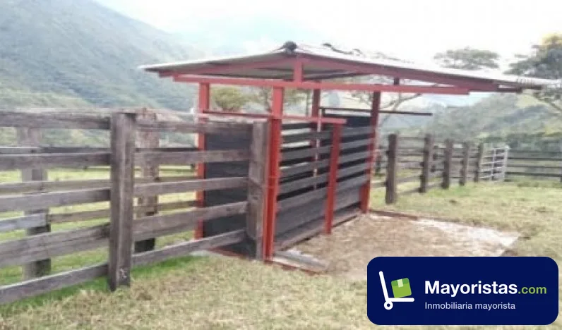 Finca ganadera de 2.200 ha en Palmira, Valle del Cauca — foto 10 de 10