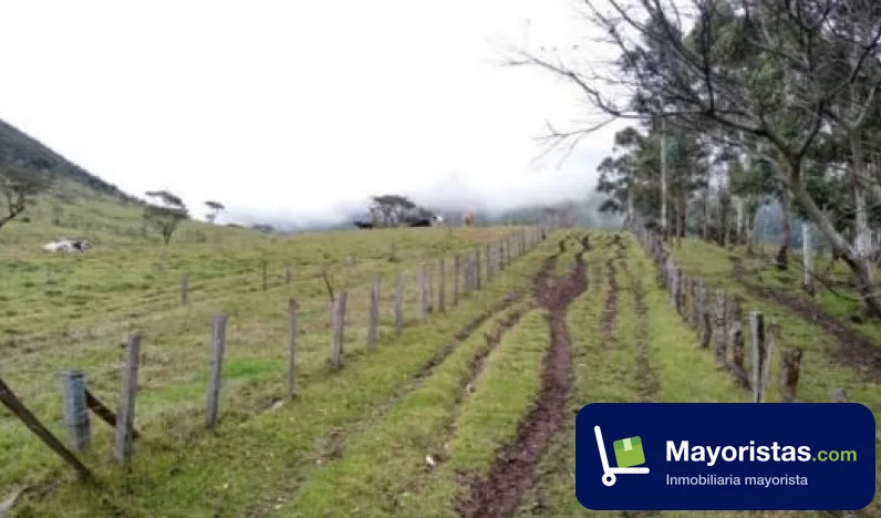 Finca ganadera de 2.200 ha en Palmira, Valle del Cauca — foto 9 de 10