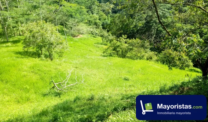 Finca ganadera de 40 ha en Rionegro, Santander — foto 9 de 9