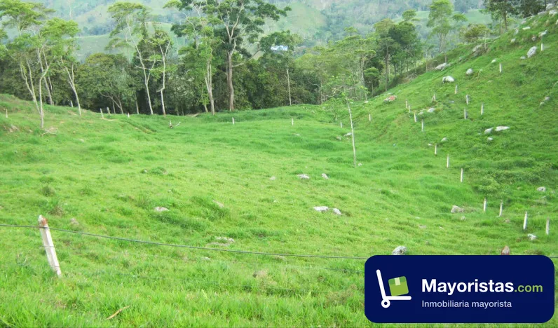 Finca ganadera de 12 ha en Lebríja, Santander