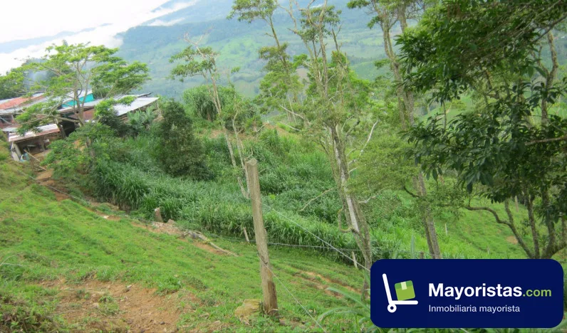 Finca ganadera de 12 ha en Lebríja, Santander — foto 9 de 10