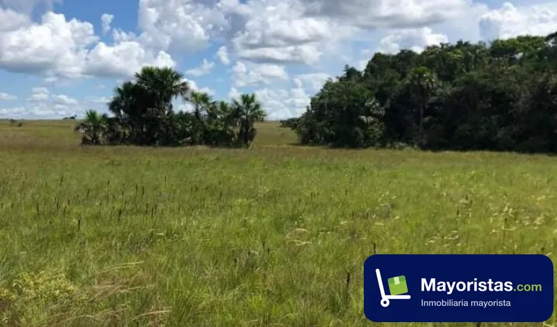 Finca agrícola de 340 ha en Cumaribo, Vichada