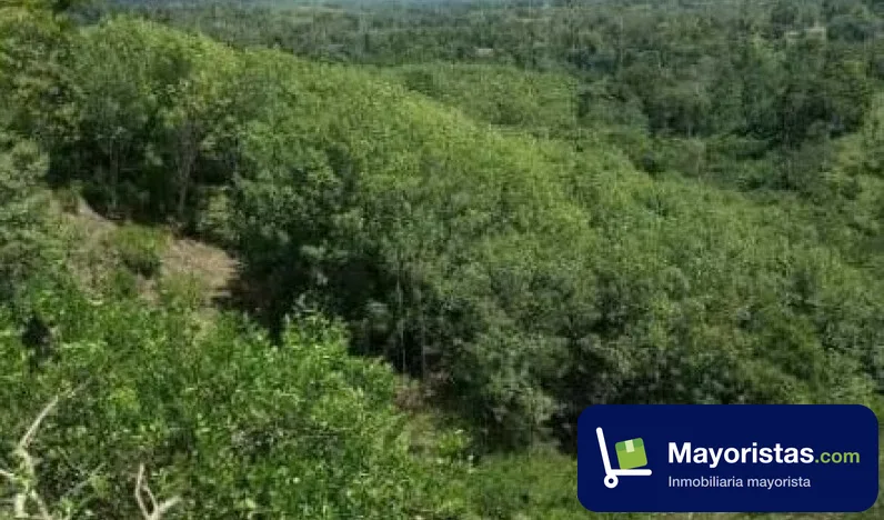 Finca agrícola de 17 ha en El Carmen de Chucurí, Santander
