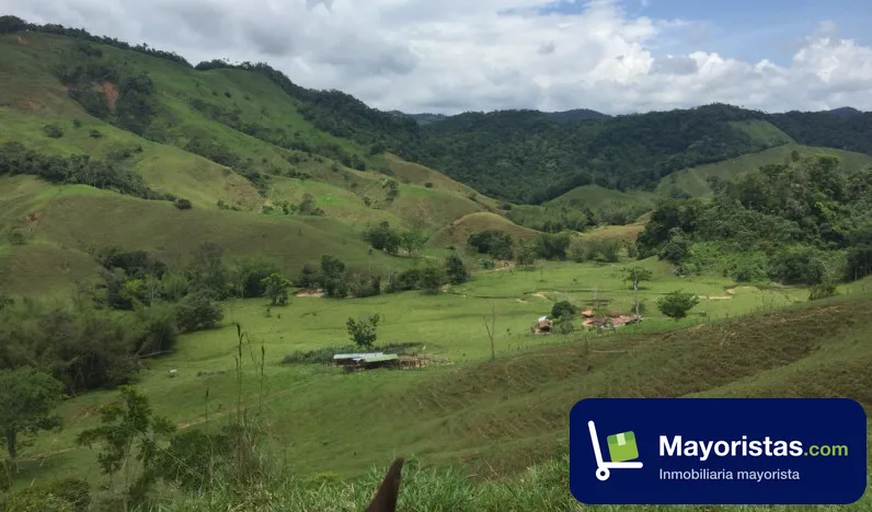 Finca ganadera de 550 ha en Puerto Nare, Antioquia
