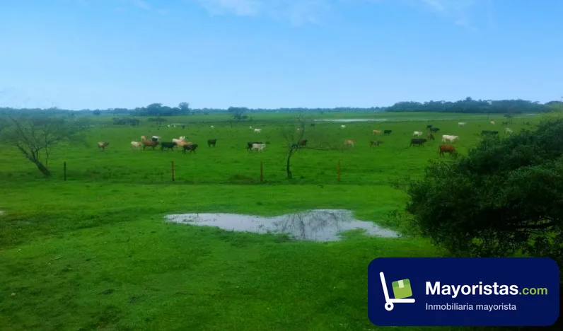 Finca ganadera de 800 ha en Puerto López, Meta