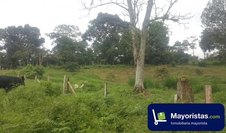 Finca ganadera de 6,4 ha en Silvania, Cundinamarca — foto 9 de 10