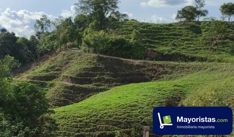 Finca ganadera de 434 ha en Puerto Boyacá, Boyacá — foto 9 de 9