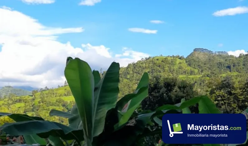 Finca agrícola de 1,2 ha en Vergara, Cundinamarca