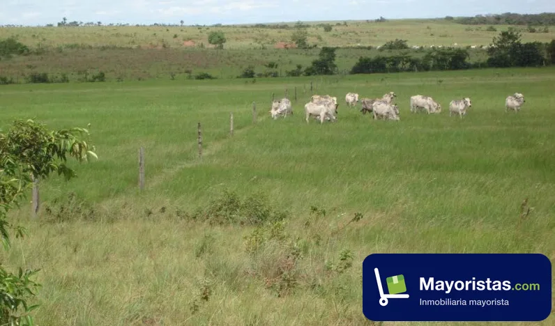 Finca ganadera de 1.370 ha en Puerto Gaitán, Meta