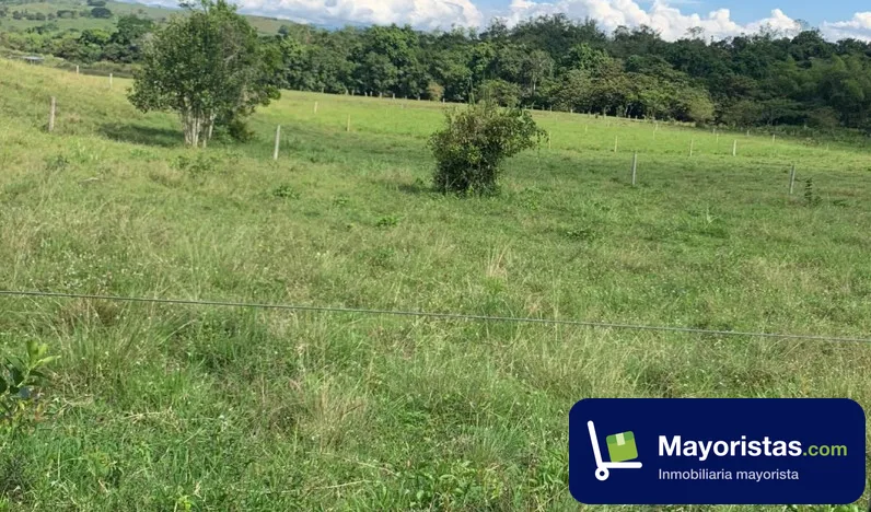 Finca ganadera de 160 ha en Bugalagrande, Valle del Cauca