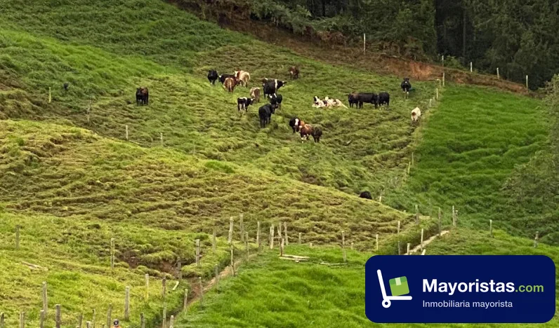 Finca ganadera de 1,7 ha en Santa Rosa de Osos, Antioquia