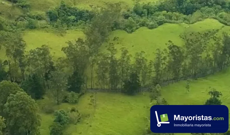 Finca ganadera de 87 ha en Pacho, Cundinamarca