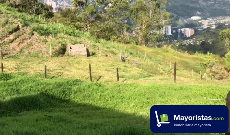 Finca ganadera de 7,4 ha en La Estrella, Antioquia — foto 9 de 10