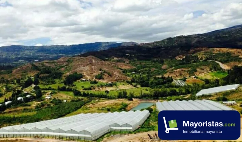 Finca cafetera de 12,8 ha en Tinjacá, Boyacá