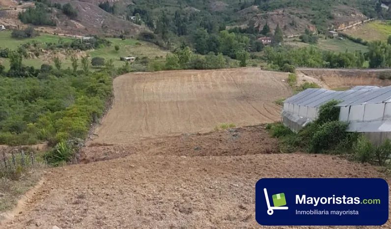Finca cafetera de 12,8 ha en Tinjacá, Boyacá — foto 9 de 9