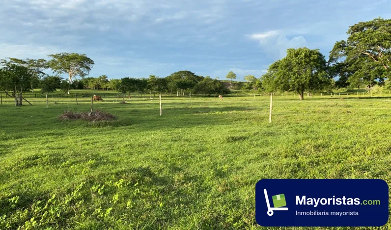 Finca ganadera de 10,5 ha en Sincelejo, Sucre