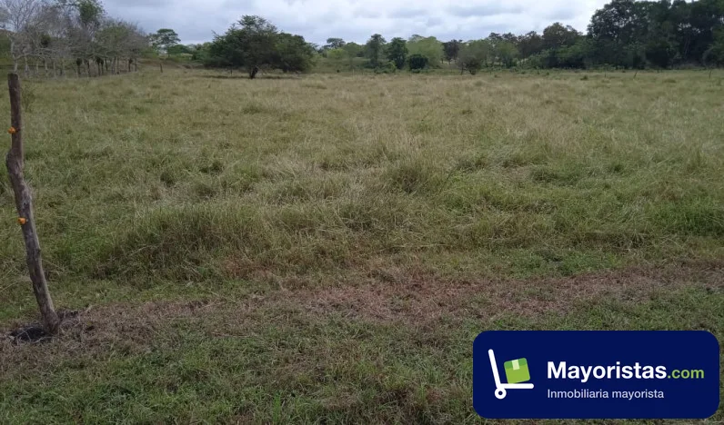 Finca ganadera de 10,5 ha en Sincelejo, Sucre — foto 10 de 10