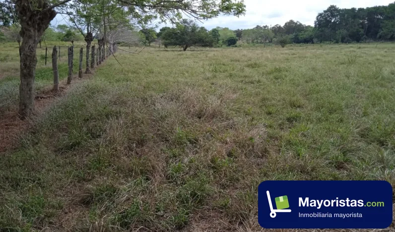 Finca ganadera de 10,5 ha en Sincelejo, Sucre — foto 9 de 10